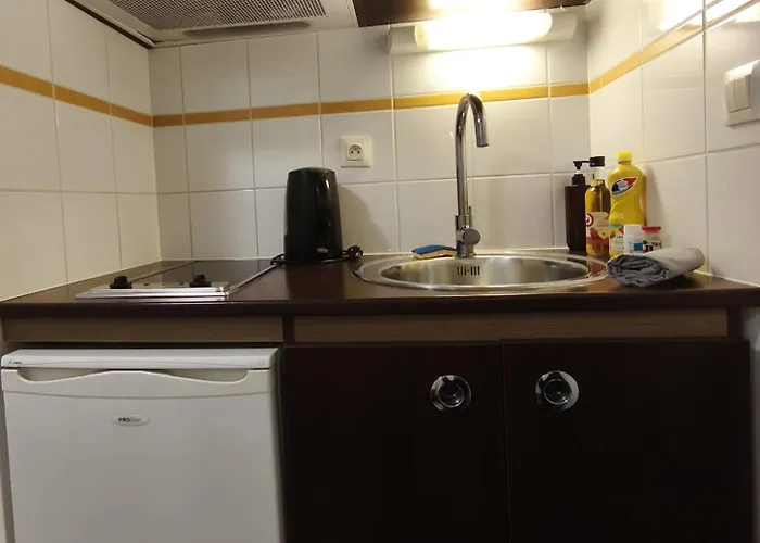 Apartman Calme-2 Pers-parking Gratuit-clim Idron