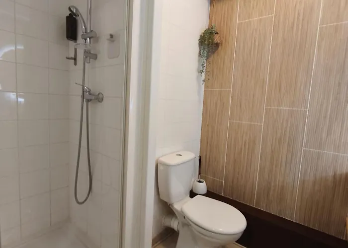 Calme-2 Pers-parking Gratuit-clim Apartman Idron